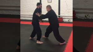 Кулак Белого Журавля