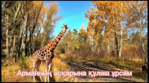 әке туралы жыр (қыздар) #қазақша караоке #қазақша әндер