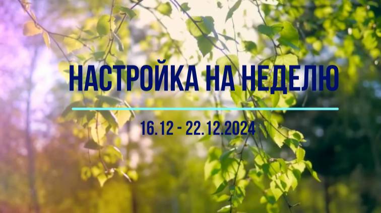 Настройка на неделю 16.12 - 22.12.2024 #психология #осознанность