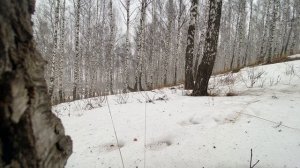 Природа Урала