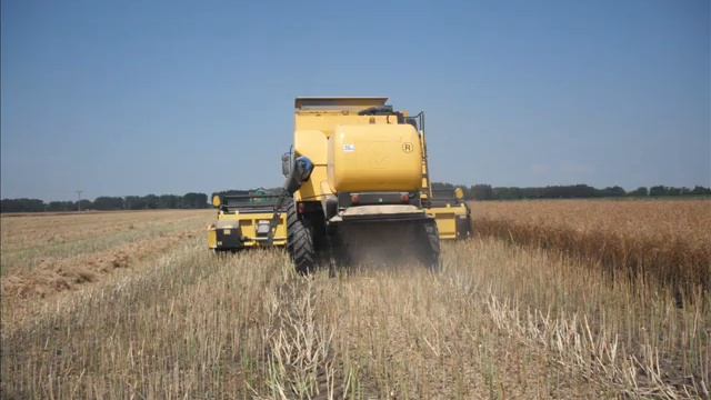 2013 Repce aratás/raps harvest Képek/pictures смотреть онлайн