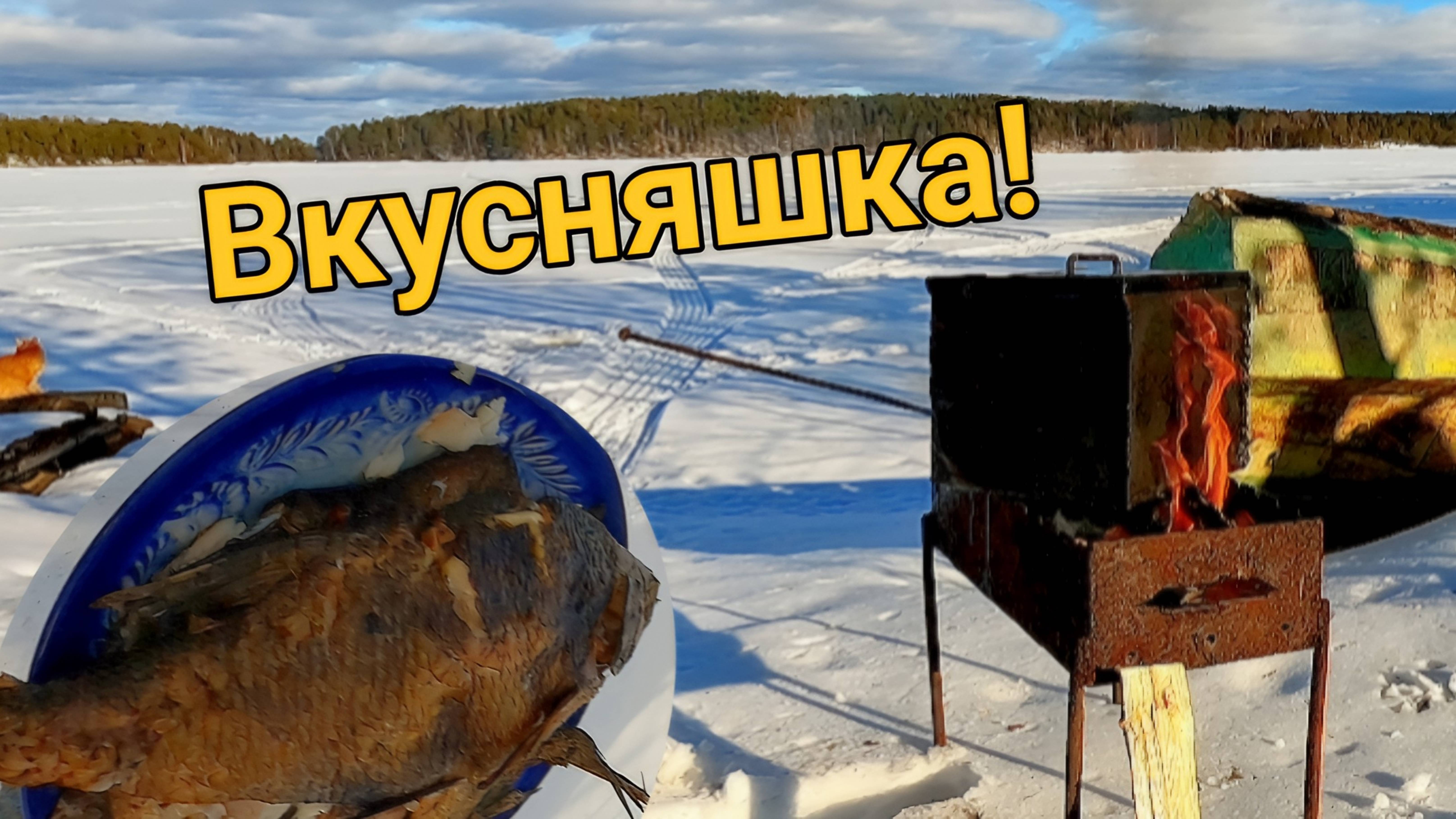 Как вкусно закоптить леща, катаемся на мотособаке, ловим живца на жерлицы.Отдых в деревне