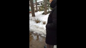 В лесу у мамы на др поздравьте её пж она будет рада
