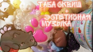 Эстетика // Табо сквиши