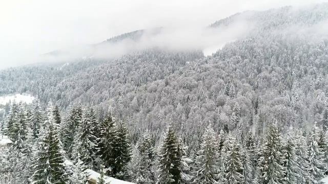 31 января Афанасьев день. Что нельзя делать 31 января. Народные традиции и приметы на 31 января