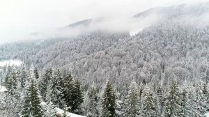 31 января Афанасьев день. Что нельзя делать 31 января. Народные традиции и приметы на 31 января