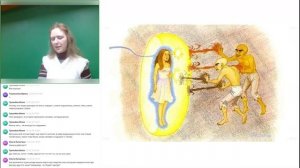 Диагностика негатива на Таро. Порчи, привороты