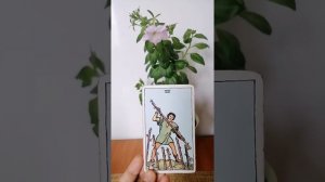 СЕМЁРКА ЖЕЗЛОВ. Различие между прямой и перевёрнутой картой