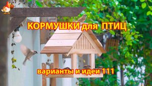 Кормушка для птиц своими руками как сделать пошагово  (111) 🪚🪛🔨 Идеи для дачи и сада❣️
