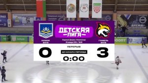 Химик 2013 - Гомель 2012 | 28.01.2024 | Детская лига