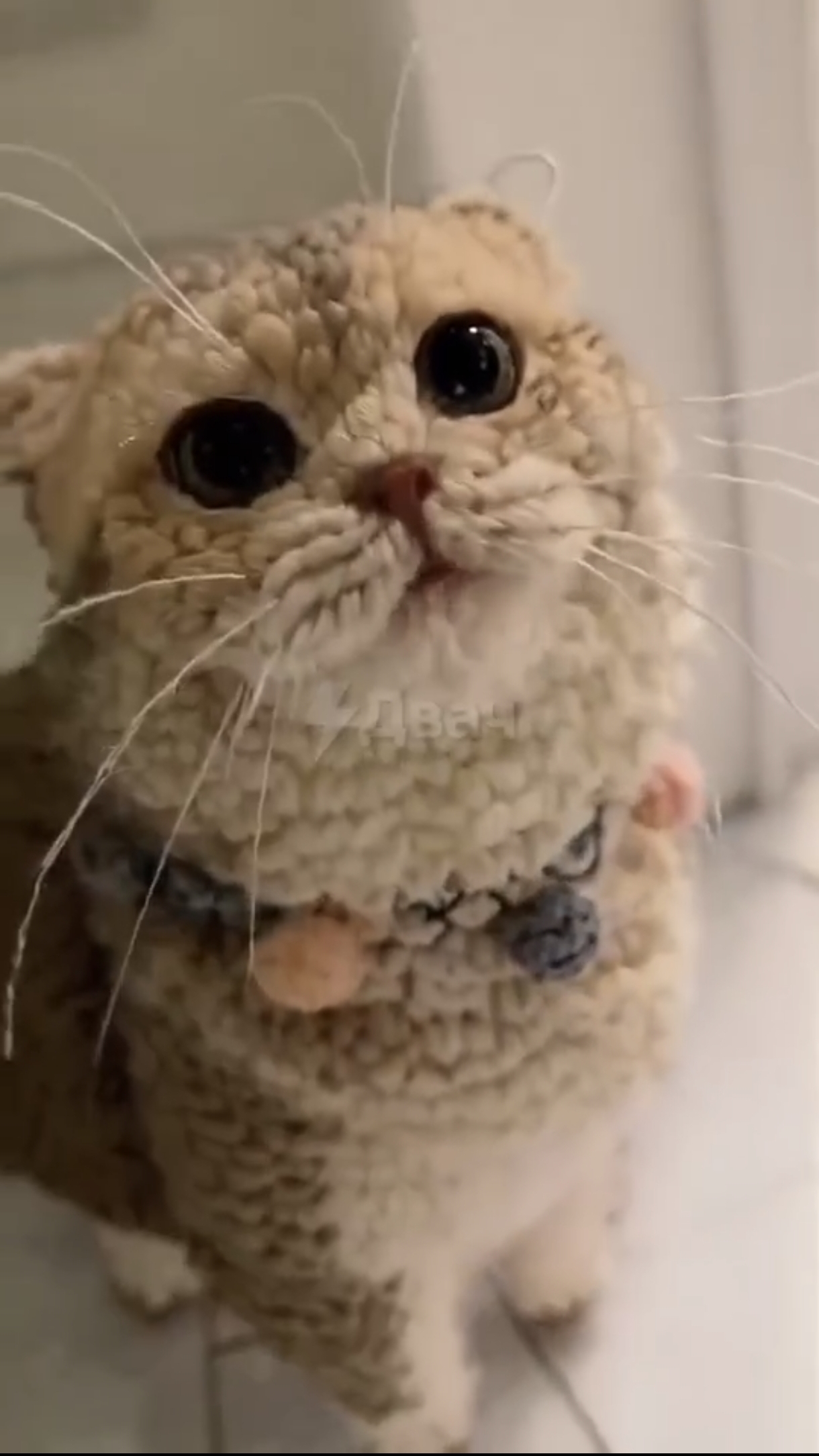 Вязаный кот 🐱