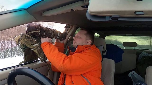 Фотоохота на сов март