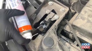 Грязеотталкивающая белая смазка Wartungs Spray weiss