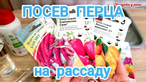 ПОСЕВ ПЕРЦА РАННЕСПЕЛОГО НА РАССАДУ