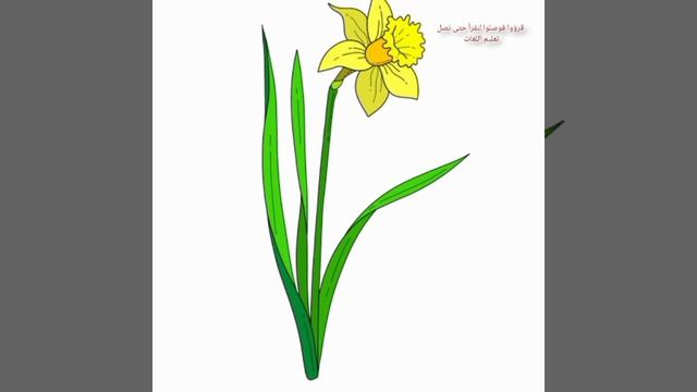 Flowers in American English الزهور في اللغة الإنجليزية الأمريكية смотреть онлайн