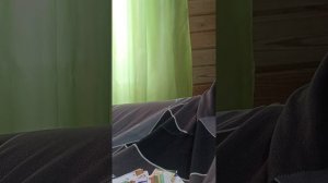 Первый каталог заполнен #1 часть