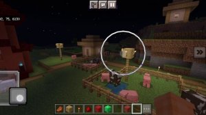 D Villager (джи виледжер) проверка майнкрафт (проверка мистики) #2