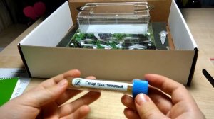 Раскрываем все посылки от AntPlanet 🐜 и формикарий мини "горный мох" !!! #2