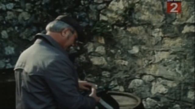 Честный виночерпий.mp4