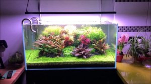 Chihiros Wrgb 2 Aquascape hd