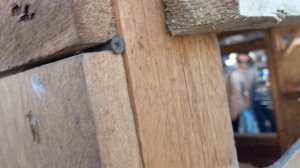 И снова здравствуйте🖐🤗// контактный зоопарк//прогулка по парку