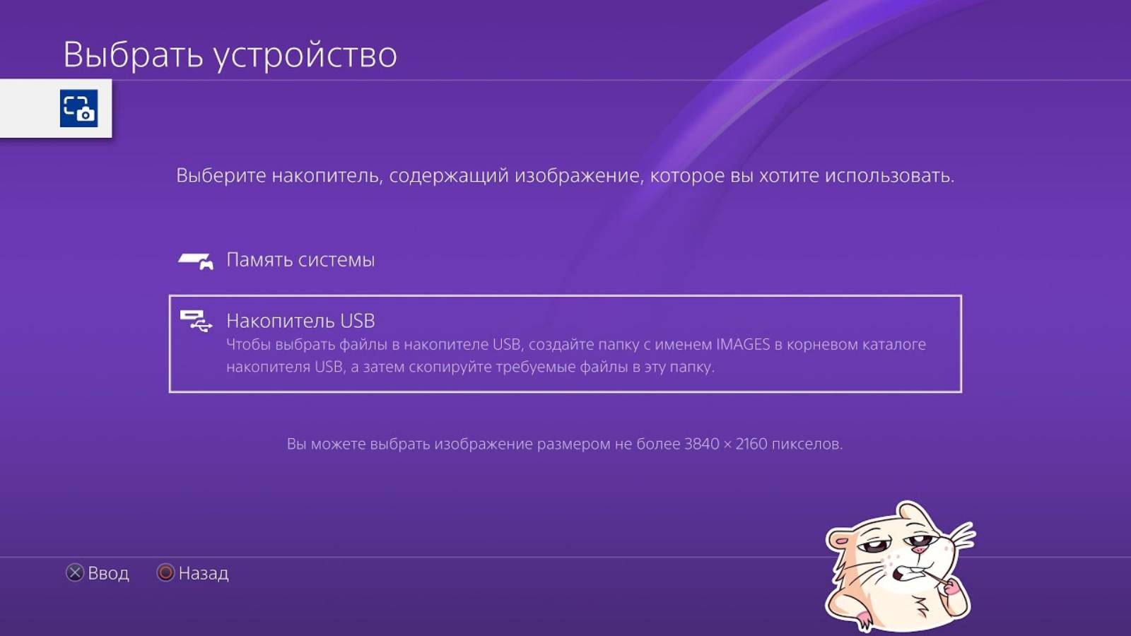 Как установить обои в пс4 с флешки