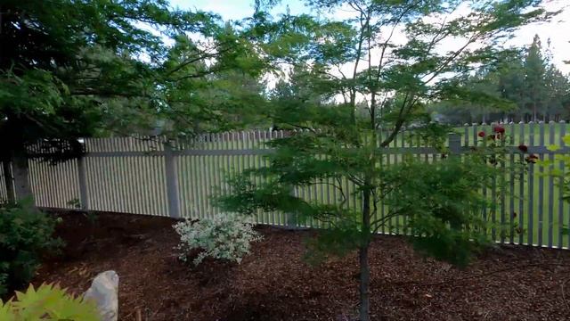 The Yard Buddha's Back Yard смотреть онлайн