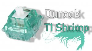 Durock T1 Shrimp Tactile Switches