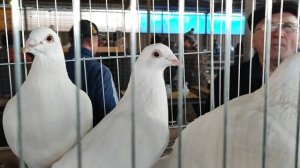 16.03.2025г ст. Бронницы ч. 2 👍