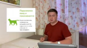 Как определить настроение Кошки? #КотСемён знает. 1 выпуск.