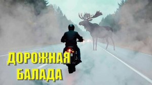 Дорожная баллада (Байкер и лось)