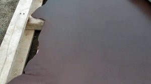 Сделали кожу тоньше посмотрите , что вышло!