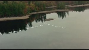 ЗА ОКНОМ ОСЕНЬ (муз., сл. и исполнение Л.Горцуевой)