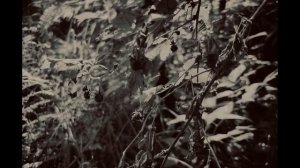 Александр Розенбаум - Дай мне минуту