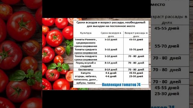СРОКИ ПОСЕВА СЕМЯН НА РАССАДУ ОВОЩЕЙ