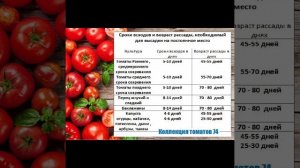 СРОКИ ПОСЕВА СЕМЯН НА РАССАДУ ОВОЩЕЙ
