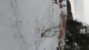 Видео Алексея Шемякина, сообщество "Услышано в Северобайкальске"