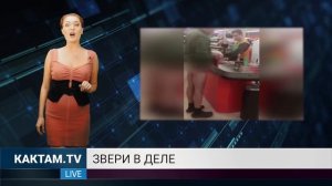 КАКТАМ? Профессор жопы #55