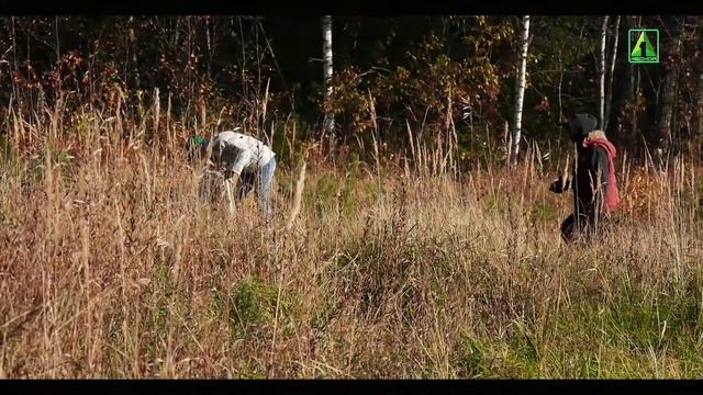 Акция "Чистый лес" | Первый лесной | смотреть онлайн