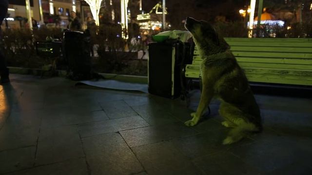 Прогулка по предновогодней Ялте смотреть онлайн