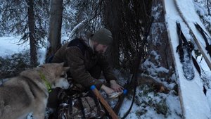 ЖИЗНЬ_В_ТАЙГЕ_ИЩУ_НОВОГОДНЕГО_ЛОСЯ_ЕМ_СУП_ИЗ_ГЛУХАРЯ_ГСМ_И_Р