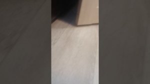 проходим паркур с хаги ваги