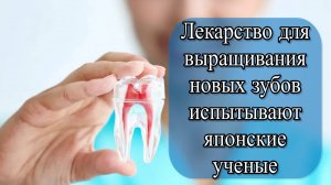 Японские ученые: лекарство для роста зубов