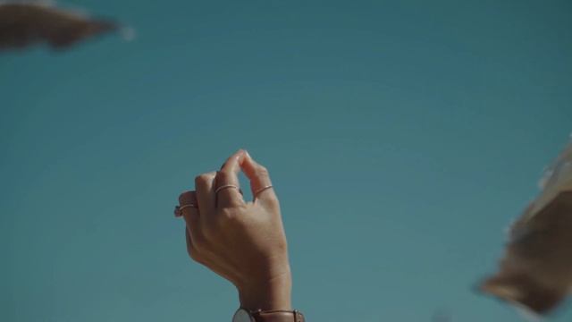 Азбука Видео монтажа Vegas Pro Урок 2.5. Создание циклических гифок