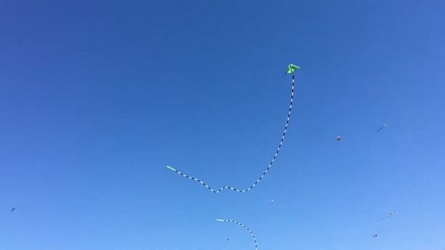 FUN: Berkeley Kite Festival 2019. California. America. Короткая веселая версия смотреть онлайн