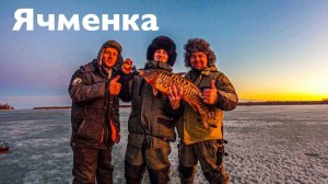 Река Ячменка Карп на 5,5 кг.