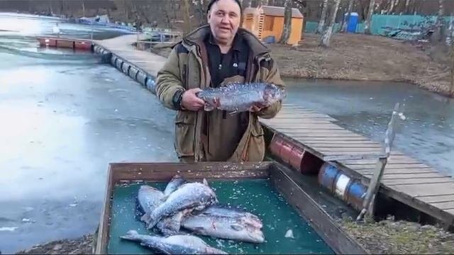16.03.25 г. РК Волна