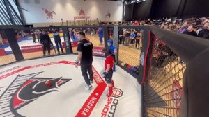 соревнования по ММА