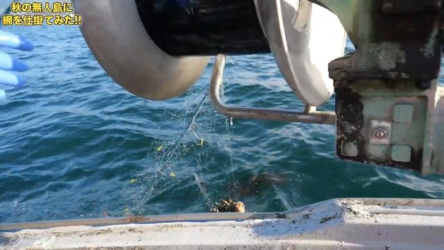 猛毒の棘に刺されて縫うことに... смотреть онлайн