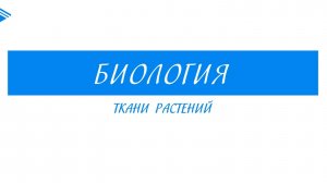 6 класс - Биология - Ткани растений
